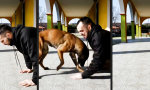 Funny Video - Teamwork bei Ausgrabungen
