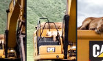 CAT Bagger macht Namen alle Ehre
