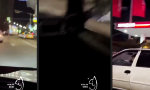 Lustiges Video : Waghalsiger Akt