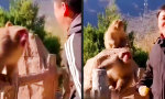 Movie : Immer schön Dominanz zeigen