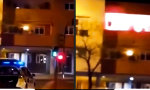 Lustiges Video : Letzte große Sause vor dem Auszug