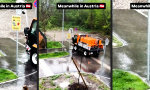 Nach Vorschrift bewässert