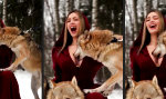 Als echter Wolf darf man das