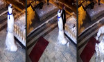 Lustiges Video - Karma tritt zurück