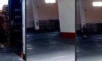 Funny Video - Effizienter arbeiten, nicht härter, und mit mehr Fun