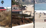 Lustiges Video - Dramatischer Auftakt zur Schwimmpartie