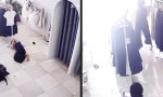 Funny Video : Die Mittagspause ist zum Stressabschütteln da