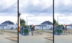 Lustiges Video : Die Rache des Dschungels