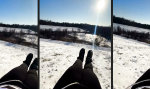 Lustiges Video - Der Stammbaum endet hier