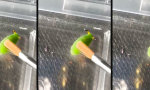 Funny Video : Eingebauter Rotor, Serie