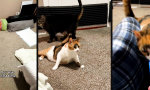 Funny Video : Handgemacht aus Liebe