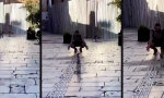 Lustiges Video : Streicheltermine nach Fahrplan