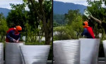 Whack-A-Mole aus der Tonne