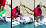 Funny Video : Der Otter als Praktikant
