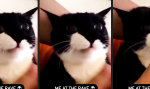 Movie : Nach diesen Pillen gibt es keinen Kater
