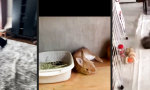 Funny Video : Osterhasen privat