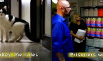 Movie : Freiheit für die Katz