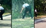 Lustiges Video : Die Schildkröte kennt das Ziel besser