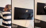 Bis Samsung das letzte Wort spricht