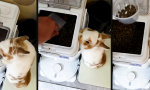 Funny Video - Schneller als die eigene Zustellung