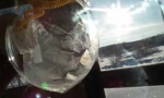 Lustiges Video : Seifenblase bei Minus 30 Grad