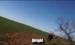 Funny Video : Angry Cow