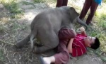 Lustiges Video : Elefantenstarke Kuschelpartie