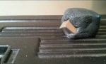 Lustiges Video : Spachtel frisst Magnet