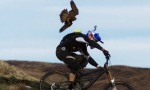 Lustiges Video : Falke vs Mountainbike