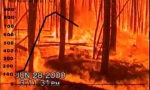 Movie : Ein Waldbrand von innen