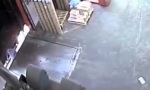 Movie : Lucky Loser To Saturday