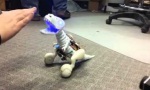 Lustiges Video : T-Rex Robot